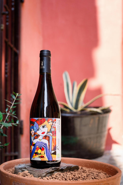 Biodynamic Red Wine - Pinot Noir Scene No. 2 2025