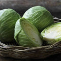 Cabbage