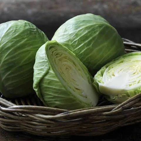Cabbage