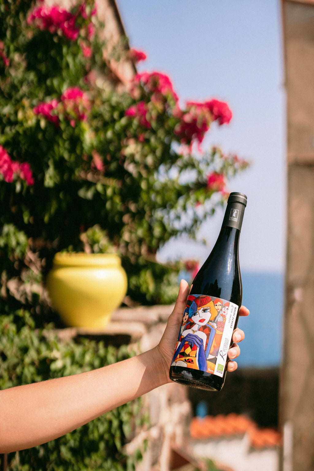 Biodynamic Red Wine - Pinot Noir Scene No. 2 2025