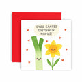 Leek Dydd Santes Dwynwen Hapus Welsh Valentine’s Day Card