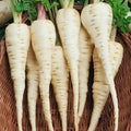 Parsnips