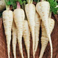 Parsnips