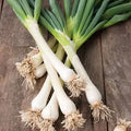 Spring Onions
