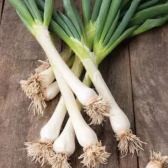 Spring Onions